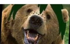 ㅅㄷ)굿즈 제작