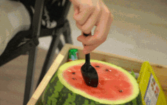 섬섬옥규 팔 잔근육