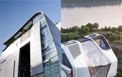 구와이지 신와이지 특징이 뭘까?