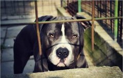 이정도면 컴백은 맞냐..?