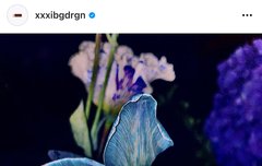 지디 생일 포스트 꽃