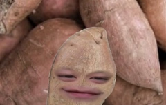 다들 고구마나 먹어