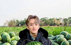 마크를 위해서라면 수테크 도전