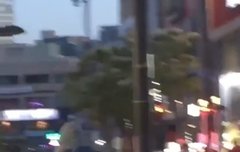 이거 언제 목격담이여?