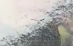 ㅅㄷ 너네 이정도 찍힘이면