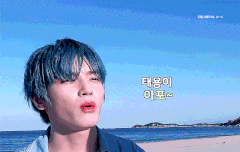 호 해달라고 애교부리는 태용