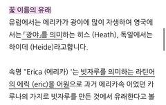 야 얘들아 9월 17일 탄생화 광야 의미한대