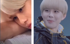 노루궁뎅이버섯이 보이네.... 아 귀여워