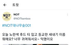 과몰입계정 나옴ㅋㅋㅋㅋ대나무숲ㅋㅋㅋㅋ