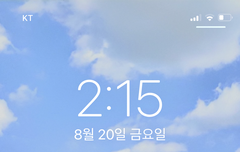 아따 눈이 환해진다