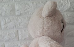 찌들아 치타리 본체 닮아서