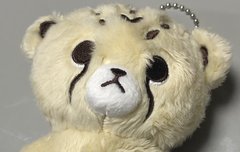 거지같은 플 사이에서 오늘 온 내 치타리 자랑~~