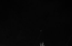 근데 다들 큥콘 가위앱에서 삼?