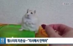 설아 은서 배방구?움짤 있는사람