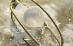 1년만에 완전체 컴백