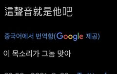 음성보고 외국인 반응