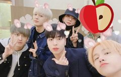 진짜 진심 진정