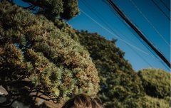 더쥔아 누나는 너 못잃는다