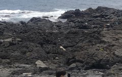 얘들아 일상 공유 부탁드립니다