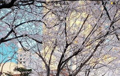 내 다이어트 자극짤