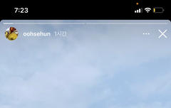 세훈 훈토리 삐삐