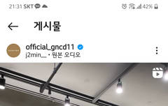 댈찌 찐인거 같지?