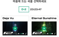 투표는 데자부가 우세하네