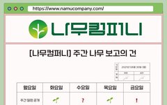 나무컴퍼니 잠긴문서 뭘까ㅠㅠㅠㅠㅠ