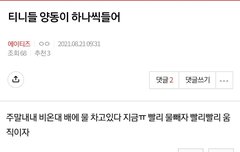 티니들아 나 요즘