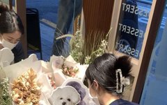 앙꼬 도둑맞음...