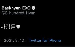 백현이 짹 삐삐