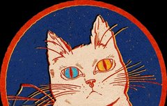 아직도 의문인 점