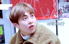 독후감 쓰기 개어렵다