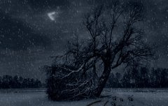 [아이유]해킹 범죄에 관여하여, 공범으로 형사 처벌