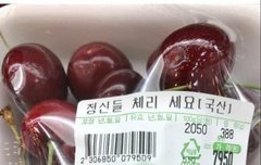 음총팀 지쳐가는 게 보임