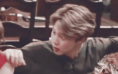 이 짤 어디서 나온거야?