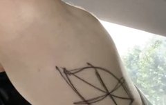 박제형 몸에 나 있다