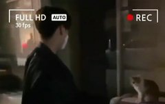 영상 출처가 어딜까요ㅠㅠ