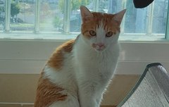 따나 왜케 끼융이랑 이미지 비슷한거같짘ㅋㅋ