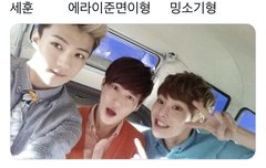 세후니 에라이준면이형 밍소기형