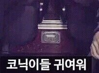 코닉이들아~~~~~