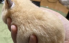 나 트위터 안해서 그런데