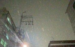 난 애들 이런 분위기