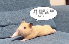 카리나 버블하는 얘들앙