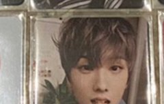 보링지송 시세 어때??