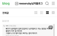 위안부 횡령 윤미향의원 도운 배루킹