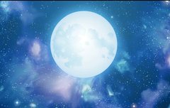 이거 뭔지 아시는분???