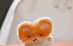 백현이씨 터래기.gif