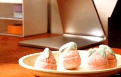 터래기 너무 하찮고 귀여워ㅠㅠㅠ