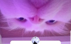 루카 스토리 업뎃